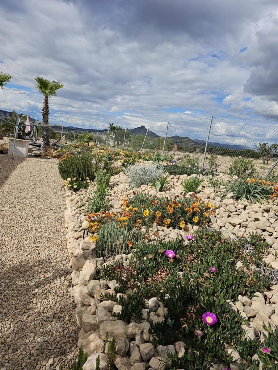 4 soveværelse Villa til salg i Salinas med swimmingpool - € 495.000 (Ref: 8973420)