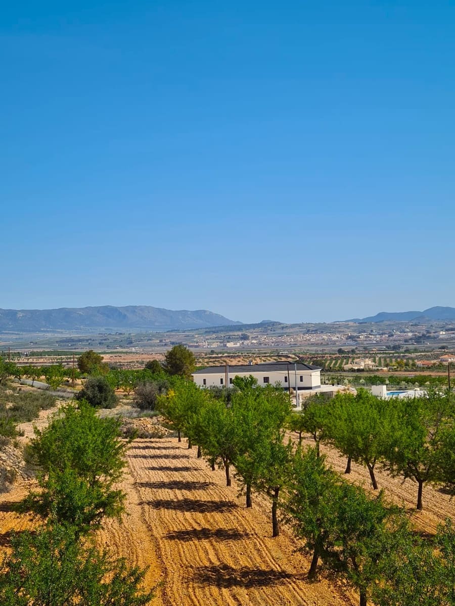 4 sypialnia Willa na sprzedaż w Canada del Trigo z basenem - 599 000 € (Ref: 8977720)