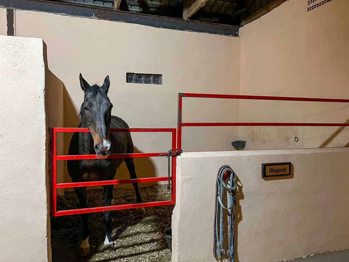 3 bedroom Villa for sale in Pinoso with pool - € 510,000 (Ref: 8981123)