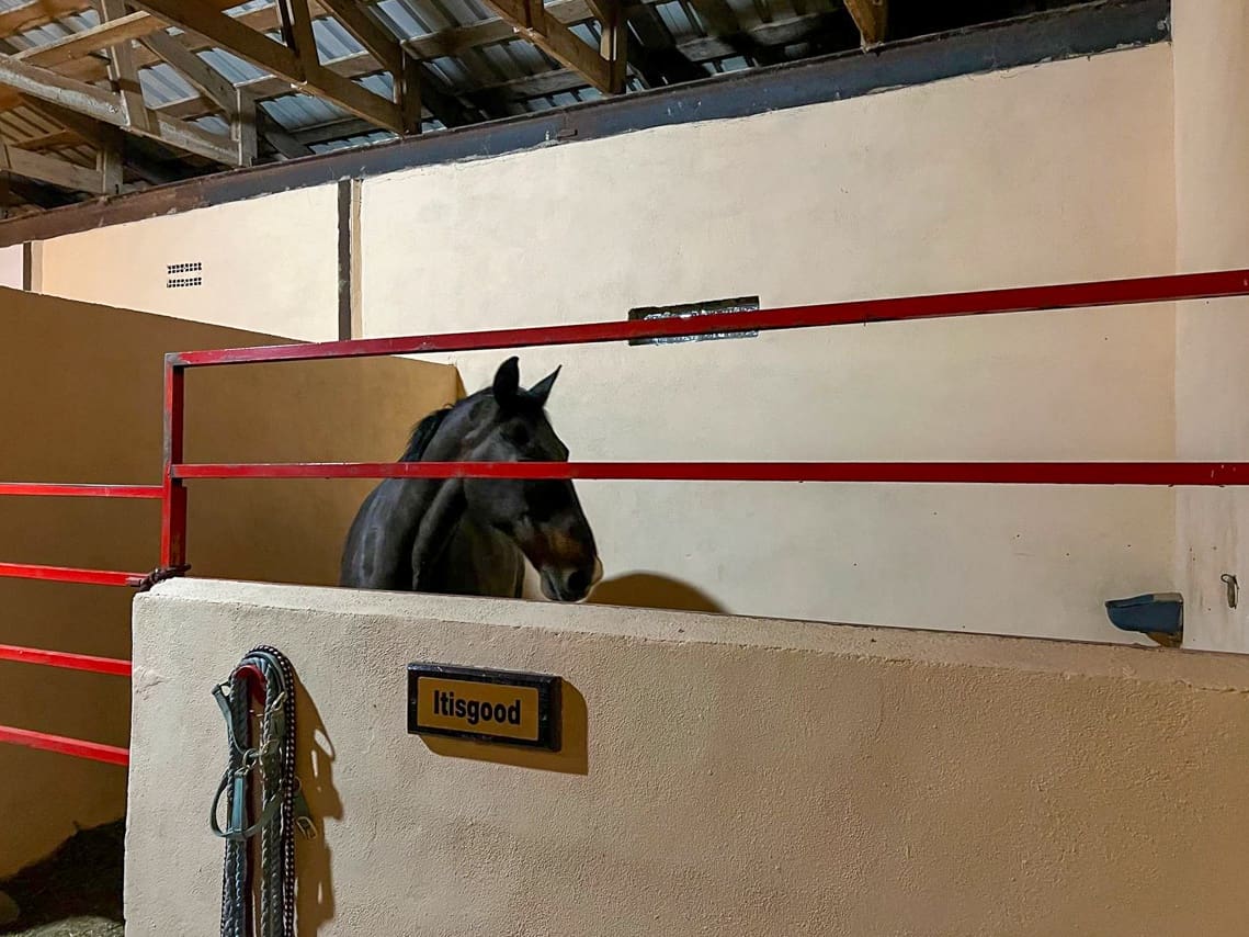 3 bedroom Villa for sale in Pinoso with pool - € 510,000 (Ref: 8981123)