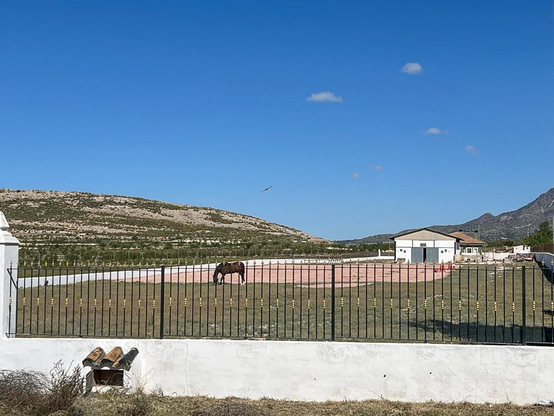 3 bedroom Villa for sale in Pinoso with pool - € 485,000 (Ref: 8981123)