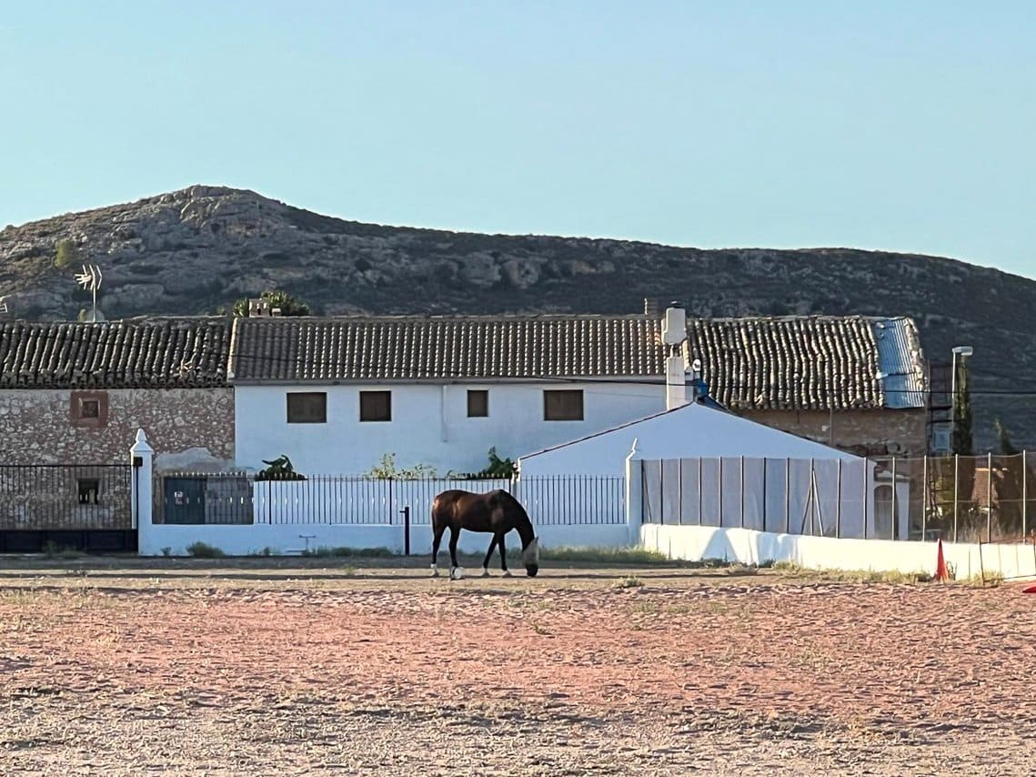 3 bedroom Villa for sale in Pinoso with pool - € 485,000 (Ref: 8981123)
