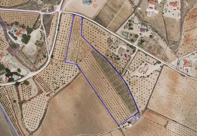 Ubebygd land til salgs i Pinoso - € 65 000 (Ref: 9002714)