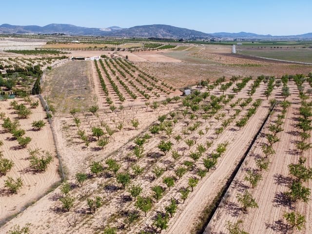 Ubebygd land til salgs i Pinoso - € 65 000 (Ref: 9002714)