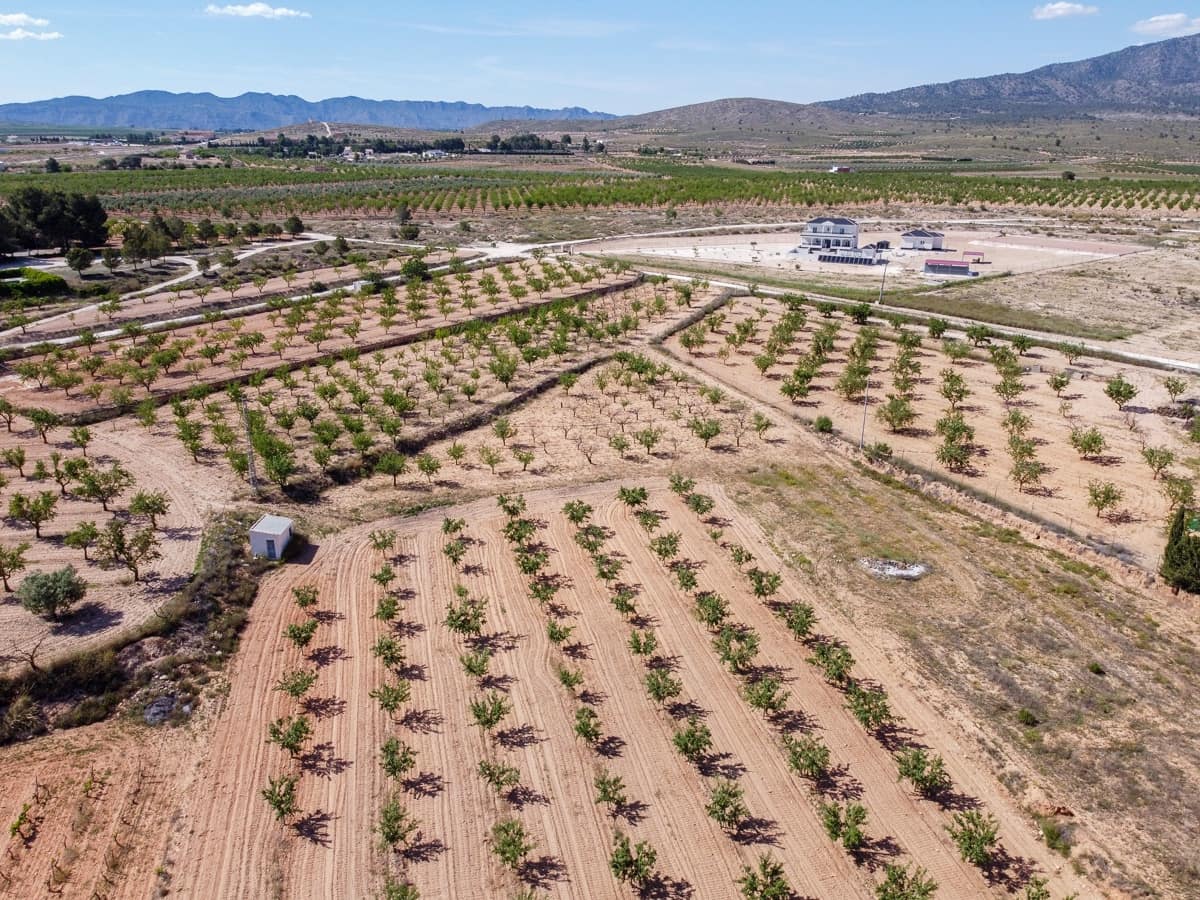 Grond te koop in Pinoso - € 65.000 (Ref: 9002714)