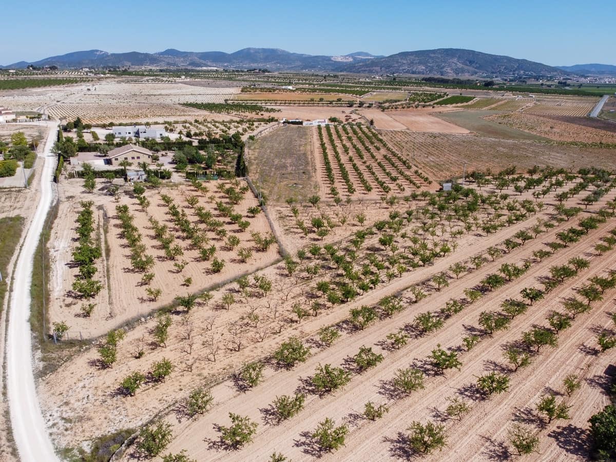 Grond te koop in Pinoso - € 65.000 (Ref: 9002714)