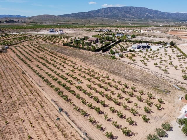 Ubebygd land til salgs i Pinoso - € 65 000 (Ref: 9002714)