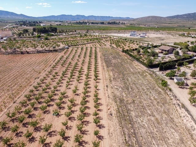 Ubebygd land til salgs i Pinoso - € 65 000 (Ref: 9002714)