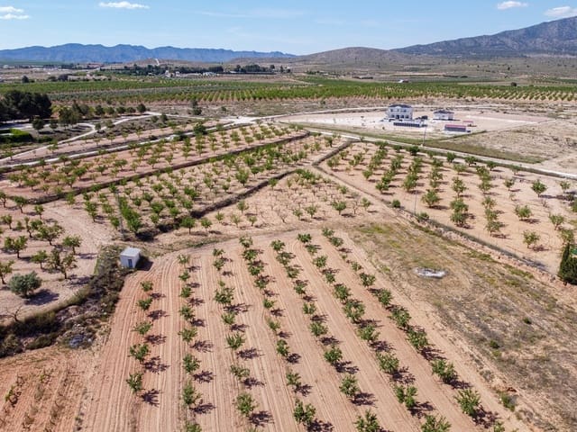 Ubebygd land til salgs i Pinoso - € 65 000 (Ref: 9002714)