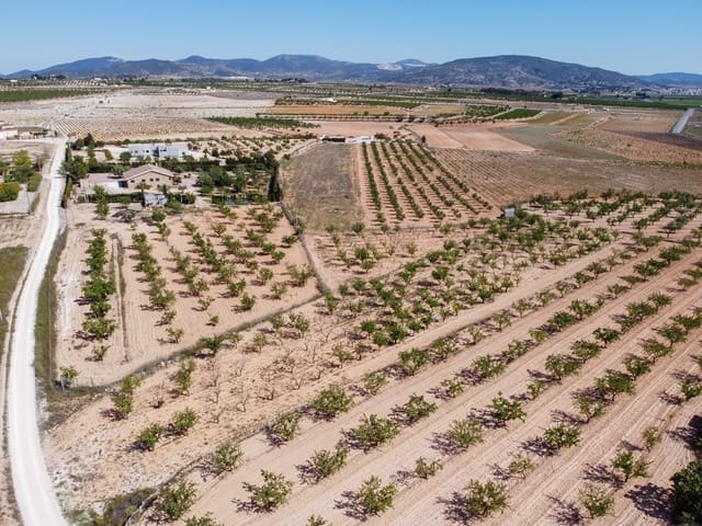 Ubebygd land til salgs i Pinoso - € 65 000 (Ref: 9002714)