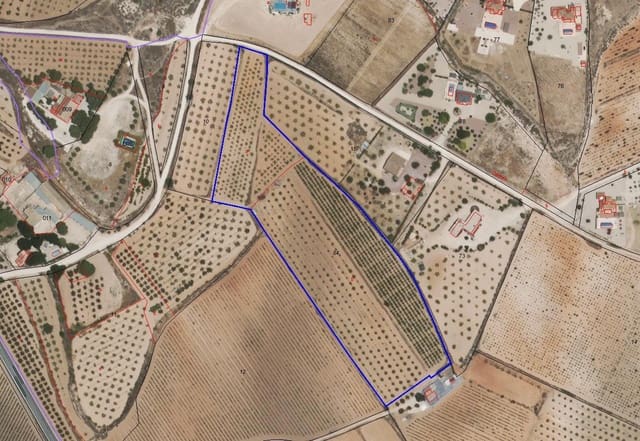 Undeveloped Land for sale in Pinoso - € 65,000 (Ref: 9002714)