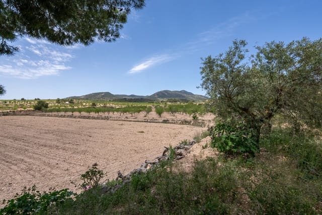2 quarto Casa de Caverna para venda em Raspay, Yecla com piscina - 46 000 € (Ref: 9004078)