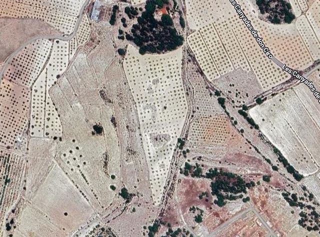 Grond te koop in Pinoso - € 47.000 (Ref: 9024962)