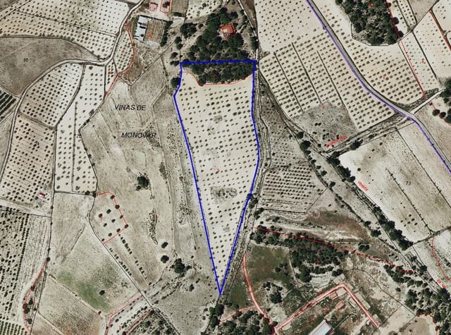 Grond te koop in Pinoso - € 47.000 (Ref: 9024962)