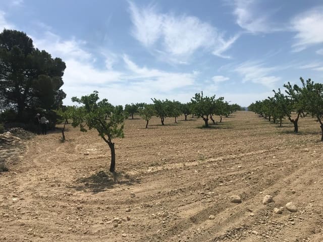 Grond te koop in Pinoso - € 47.000 (Ref: 9024962)