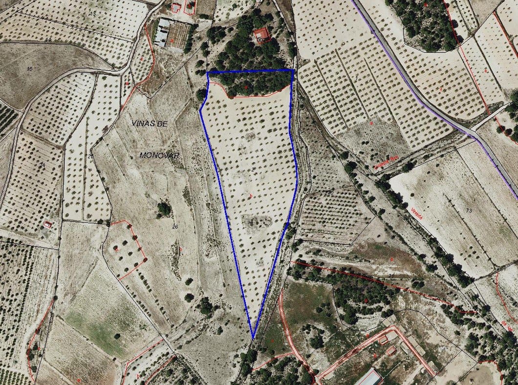 Undeveloped Land for sale in Pinoso - € 47,000 (Ref: 9024962)