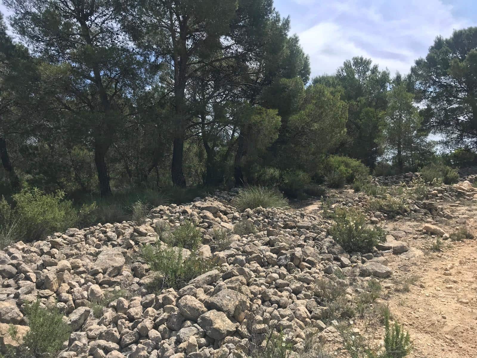 Undeveloped Land for sale in Pinoso - € 47,000 (Ref: 9024962)