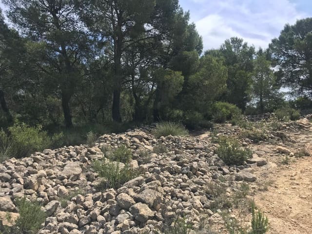 Teren niezagospodarowany na sprzedaż w Pinoso - 47 000 € (Ref: 9024962)
