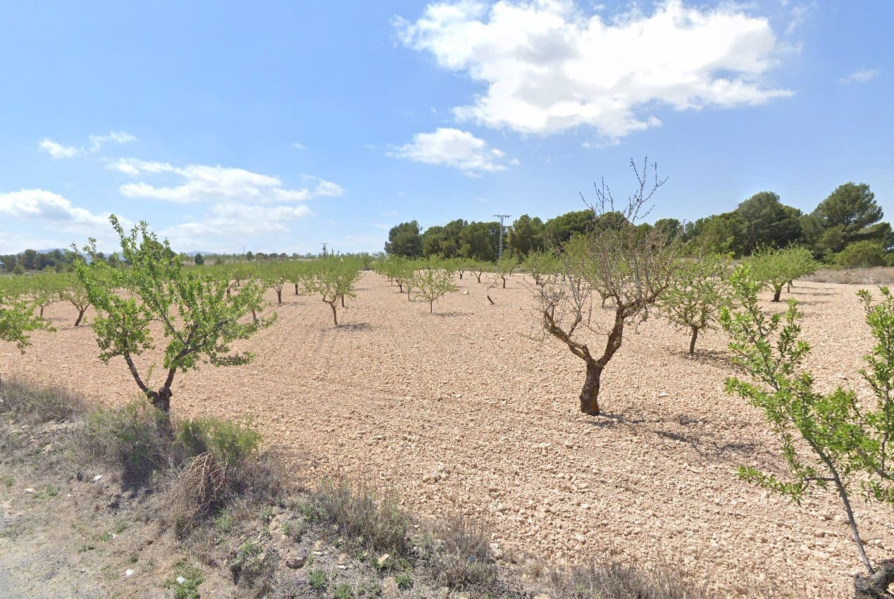 Grunde uden byggetilladelser til salg i Pinoso - € 35.000 (Ref: 9024963)