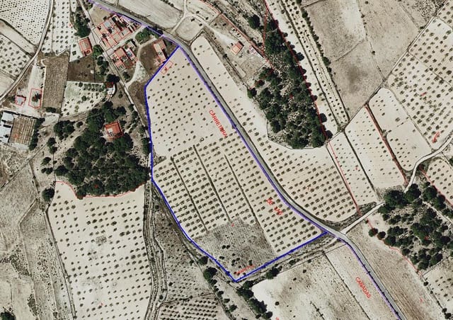 Grunde uden byggetilladelser til salg i Pinoso - € 35.000 (Ref: 9024963)