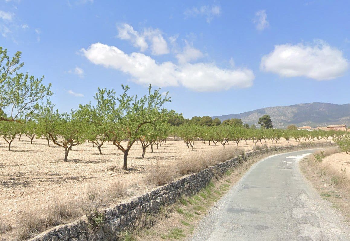 Undeveloped Land for sale in Pinoso - € 35,000 (Ref: 9024963)