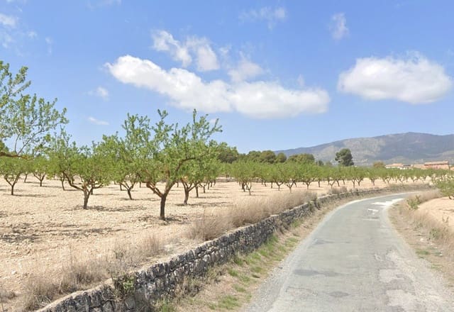 Undeveloped Land for sale in Pinoso - € 35,000 (Ref: 9024963)