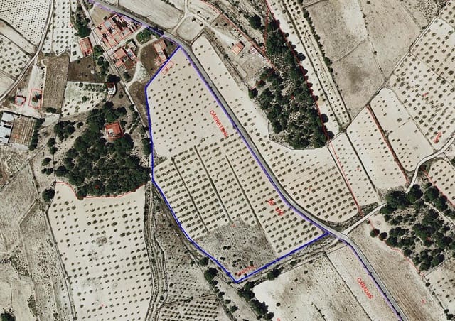 Undeveloped Land for sale in Pinoso - € 35,000 (Ref: 9024963)