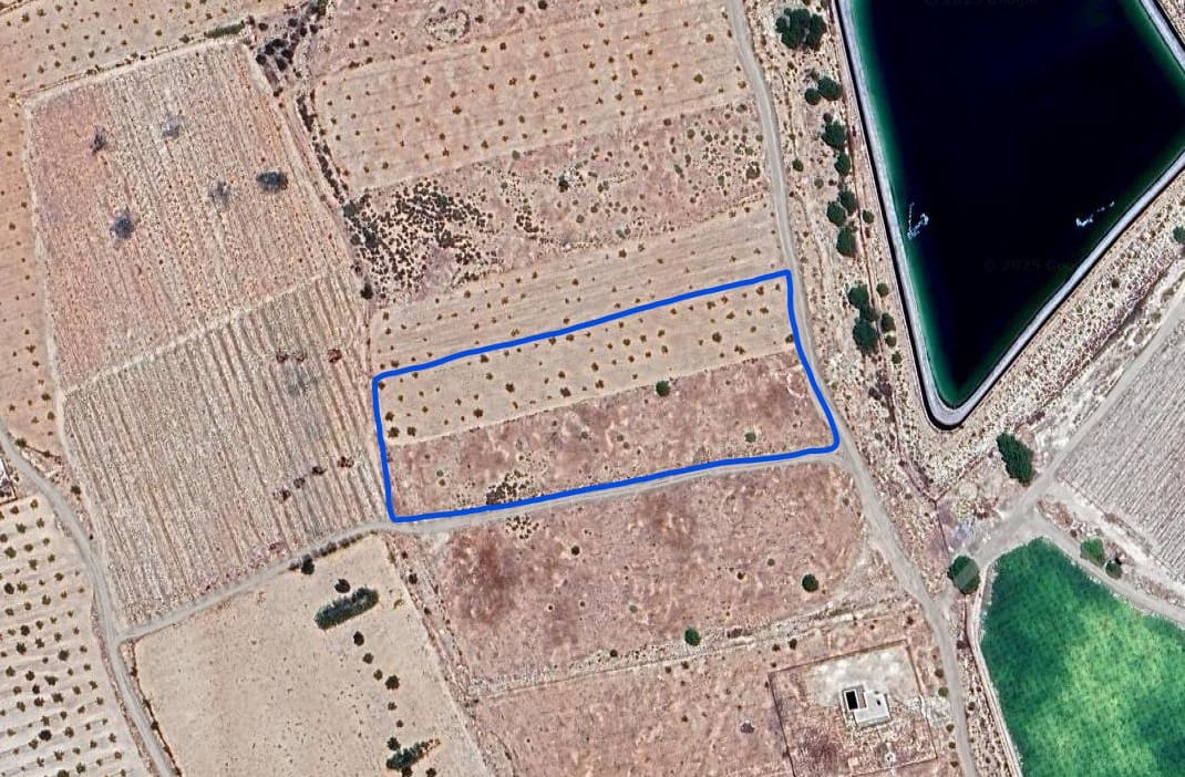 Undeveloped Land for sale in Monovar / Monover - € 36,000 (Ref: 9024964)