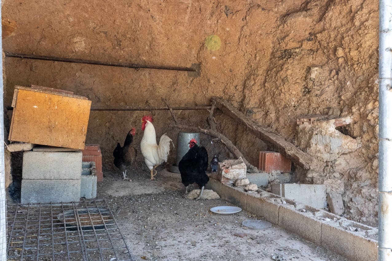 5 soveværelse Finca/Landehus til salg i Las Casicas med swimmingpool - € 179.950 (Ref: 9030937)