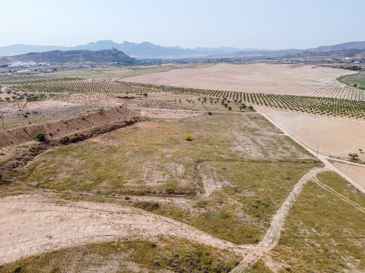 Mark till salu i Jumilla - 42 500 € (Ref: 9033628)