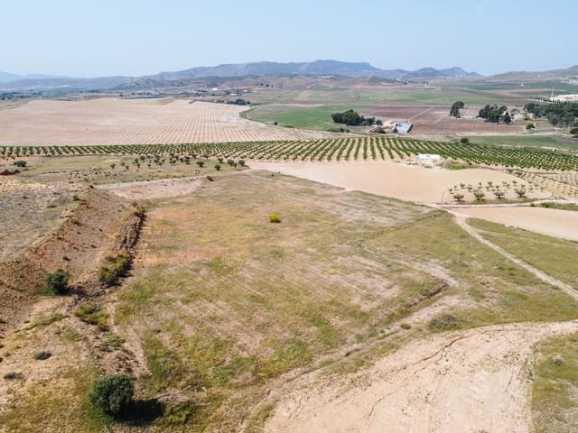 Undeveloped Land for sale in Jumilla - € 42,500 (Ref: 9033628)