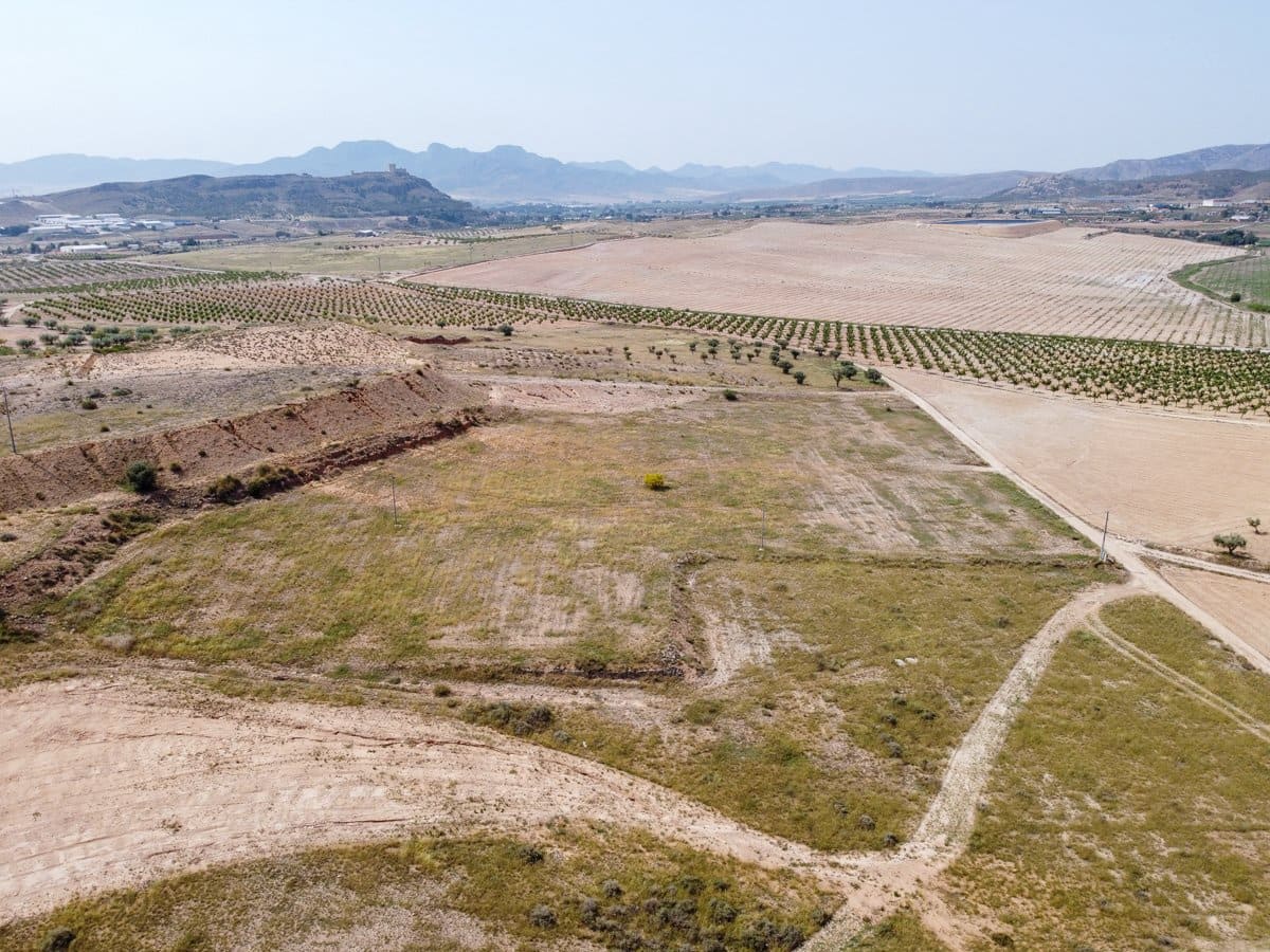 Undeveloped Land for sale in Jumilla - € 42,500 (Ref: 9033628)