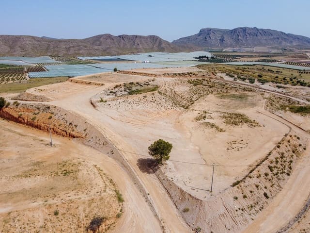 Undeveloped Land for sale in Jumilla - € 81,500 (Ref: 9033630)