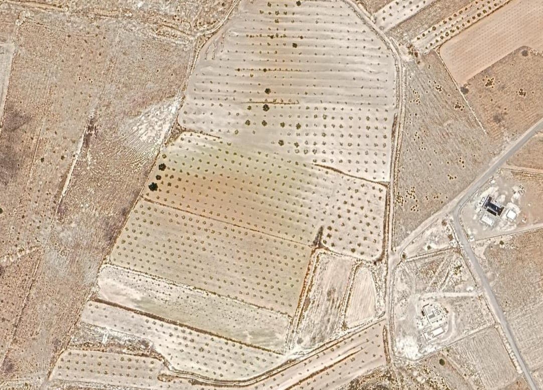 Undeveloped Land for sale in Jumilla - € 45,000 (Ref: 9040951)