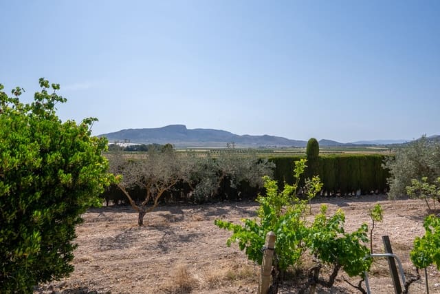 2 bedroom Finca/Country House for sale in Chinorlet / Xinorlet, Monóvar / Monóver with pool - € 149,950 (Ref: 9074557)