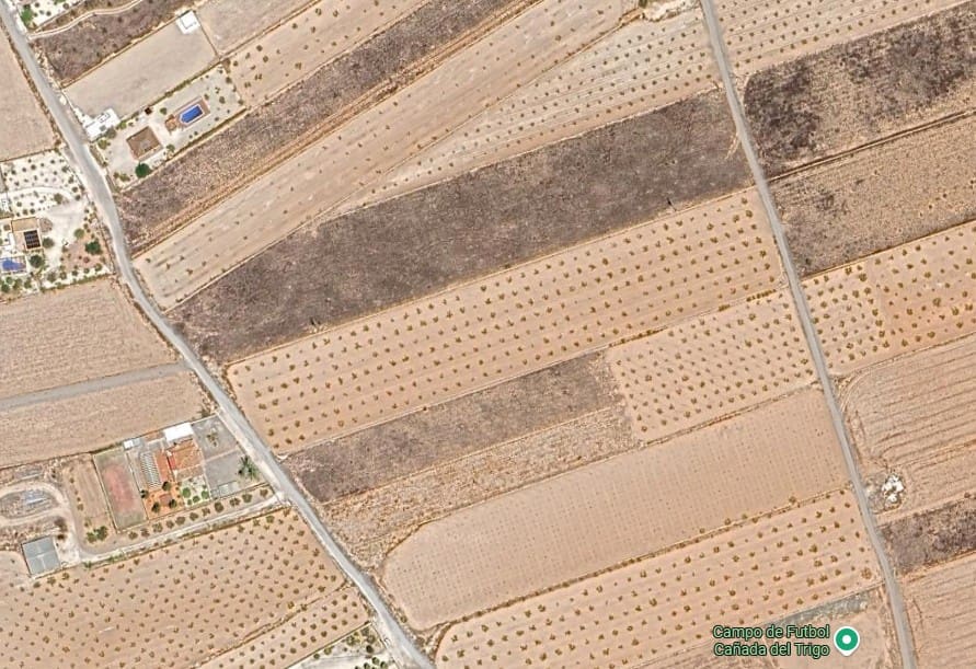 Teren niezagospodarowany na sprzedaż w Jumilla - 36 000 € (Ref: 9099764)