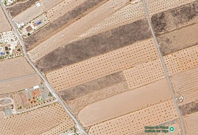 Undeveloped Land for sale in Jumilla - € 36,000 (Ref: 9099764)
