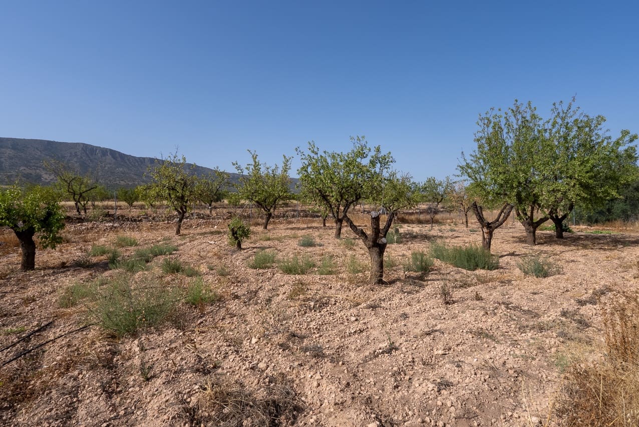 3 bedroom Finca/Country House for sale in Pinoso with pool - € 145,000 (Ref: 9128897)