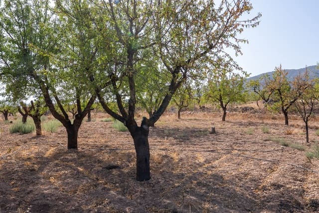 3 bedroom Finca/Country House for sale in Pinoso with pool - € 145,000 (Ref: 9128897)