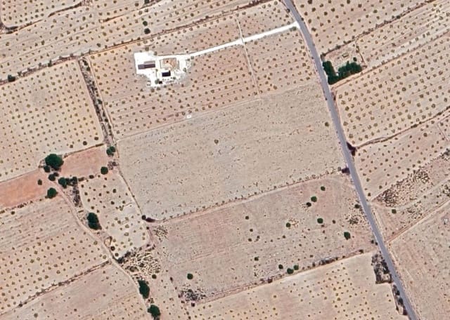 Mark till salu i Lel, Pinoso - 75 000 € (Ref: 9144042)