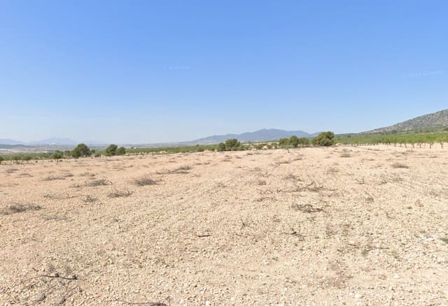 Mark till salu i Lel, Pinoso - 75 000 € (Ref: 9144042)