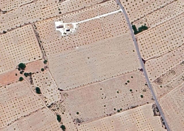 Terre non Aménagée à vendre à Lel, Pinoso - 75 000 € (Ref: 9144042)