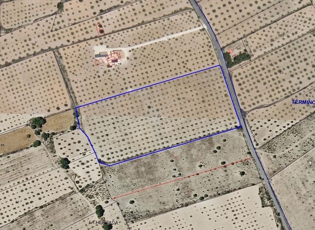 Terre non Aménagée à vendre à Lel, Pinoso - 75 000 € (Ref: 9144042)