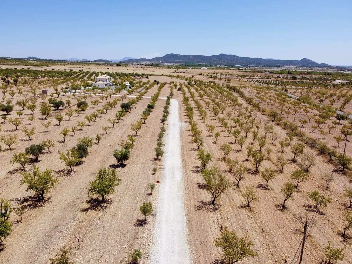 4 chambre Villa/Maison à vendre à Lel avec piscine - 669 950 € (Ref: 9150973)