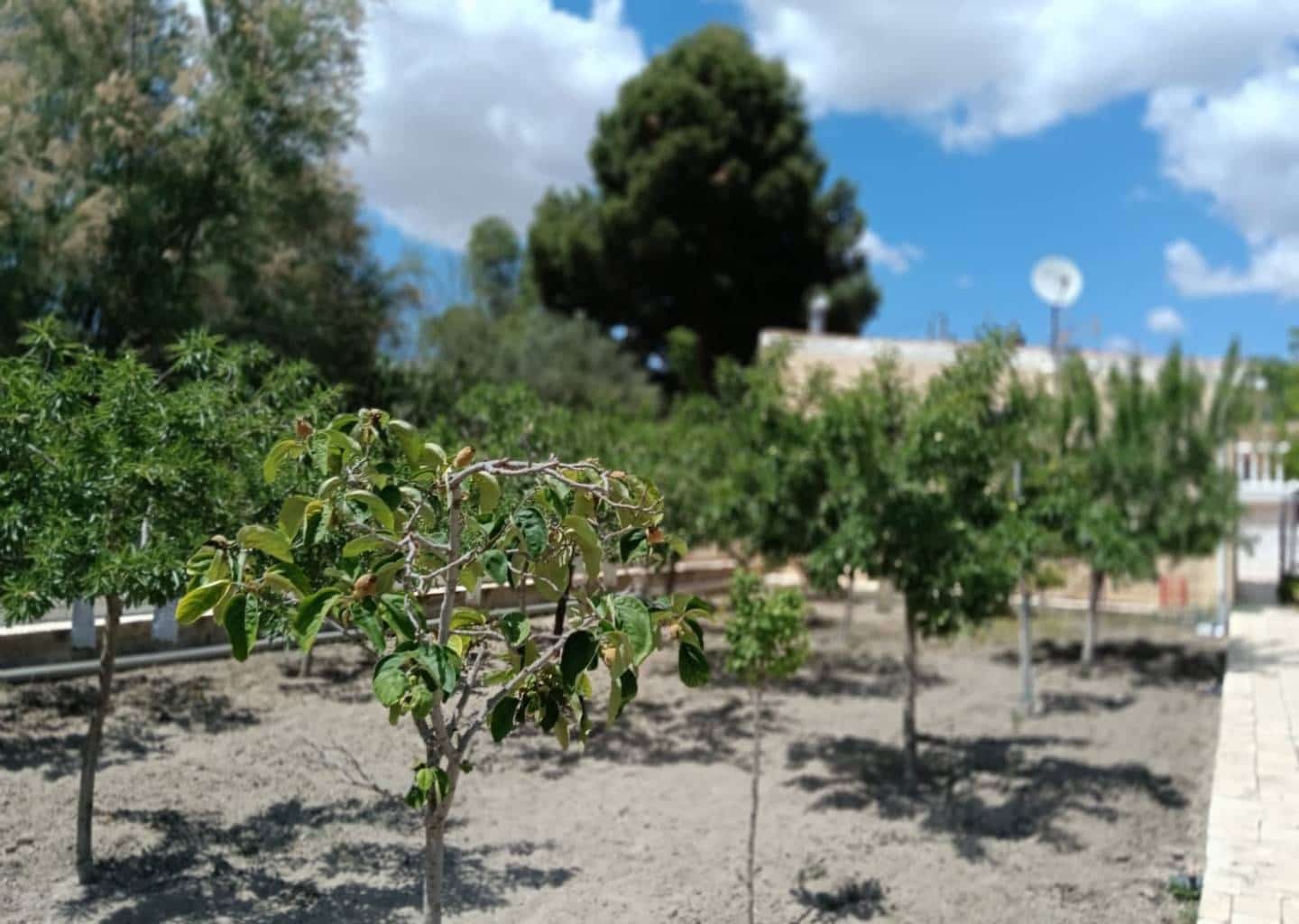 5 sovrum Villa till salu i Sax med pool - 299 995 € (Ref: 9184678)