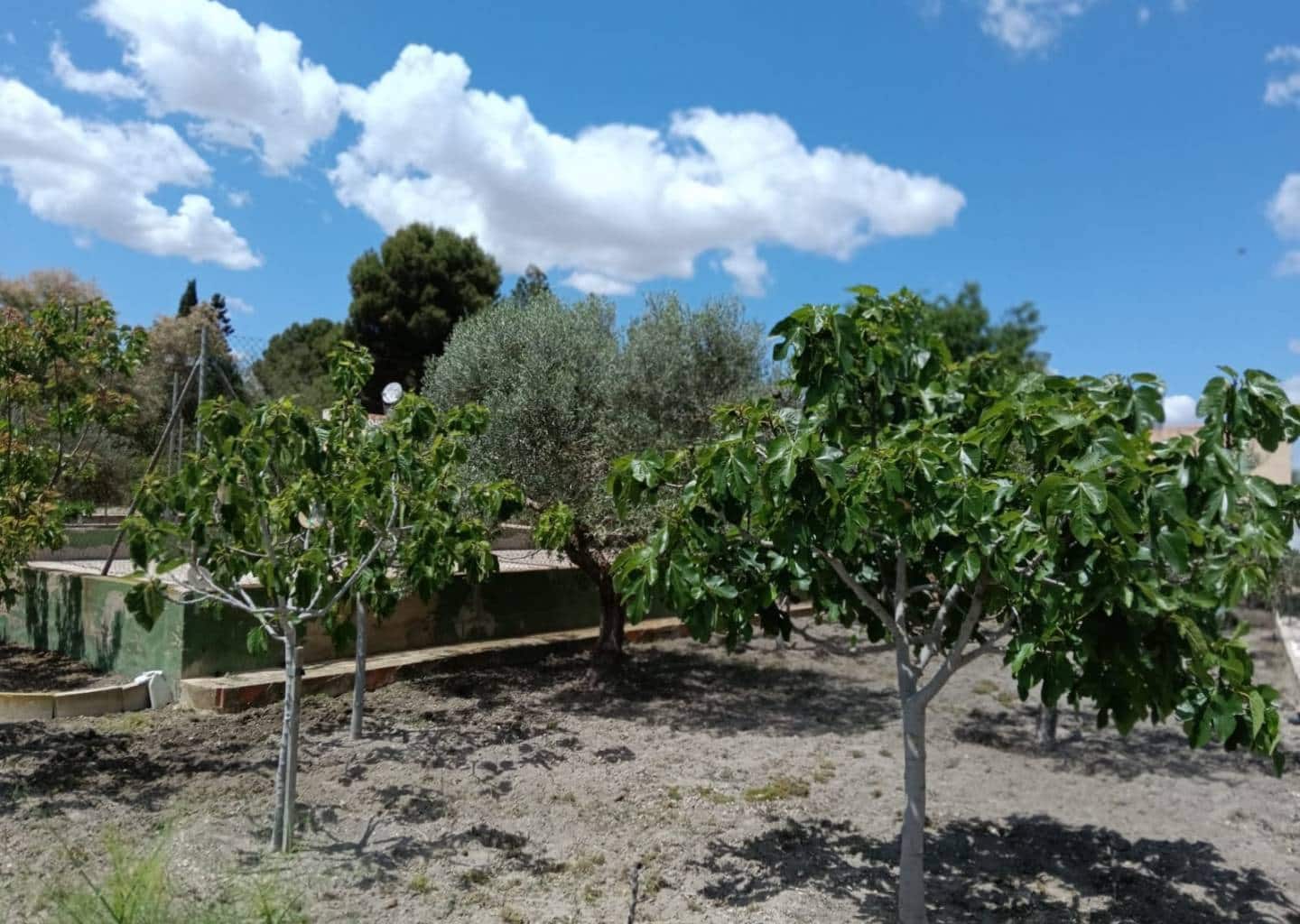 5 sovrum Villa till salu i Sax med pool - 299 995 € (Ref: 9184678)