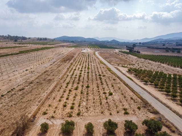 Undeveloped Land for sale in Culebron, Pinoso - € 99,000 (Ref: 9187472)