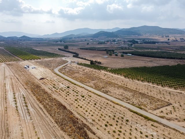 Undeveloped Land for sale in Culebron, Pinoso - € 99,000 (Ref: 9187472)