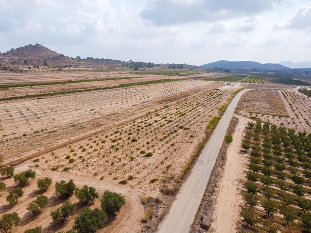 Undeveloped Land for sale in Culebron, Pinoso - € 99,000 (Ref: 9187472)