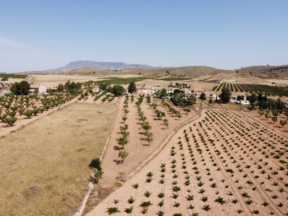 Teren niezagospodarowany na sprzedaż w Abanilla - 49 000 € (Ref: 9207755)